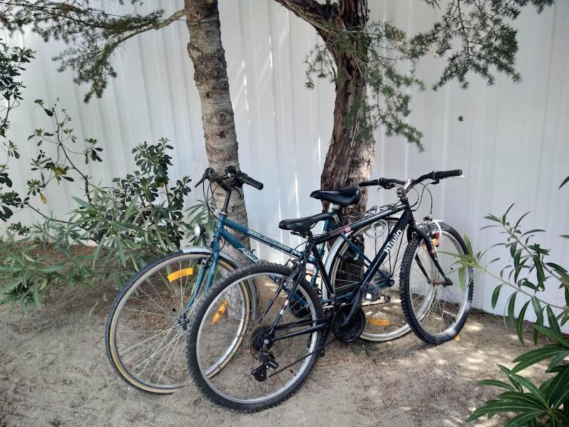 Maison Jardin Wifi - Climatisation - 100 M Plage Sauvage - 20 Min Perpignan 또헤이으 외부 사진