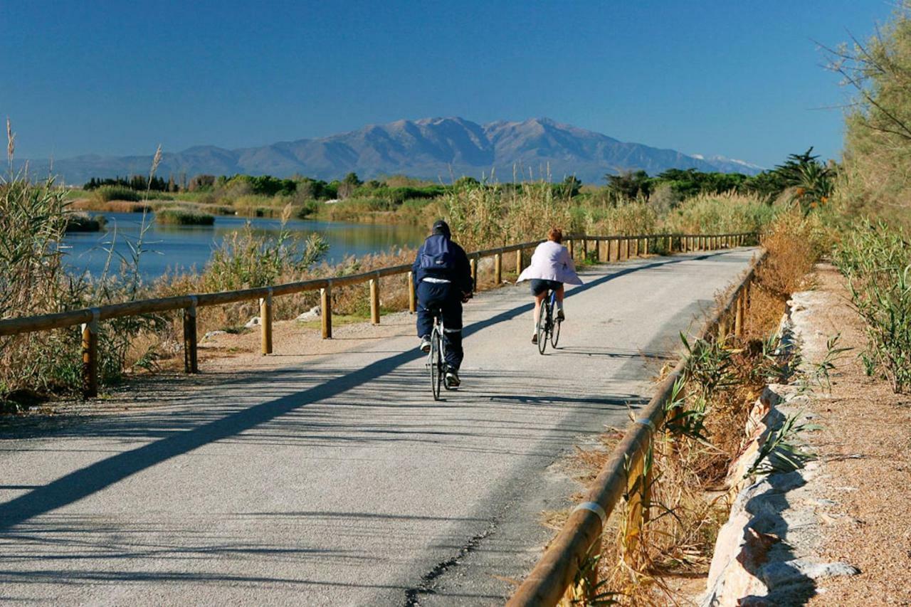 Maison Jardin Wifi - Climatisation - 100 M Plage Sauvage - 20 Min Perpignan 또헤이으 외부 사진